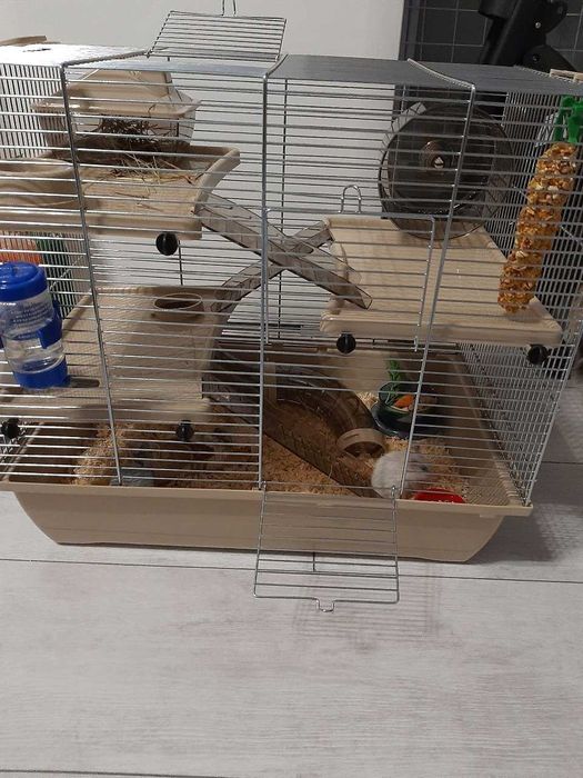 Nowa Klatka Dla Gryzoni Dla Chomika Królika Beżowa 500x330x455