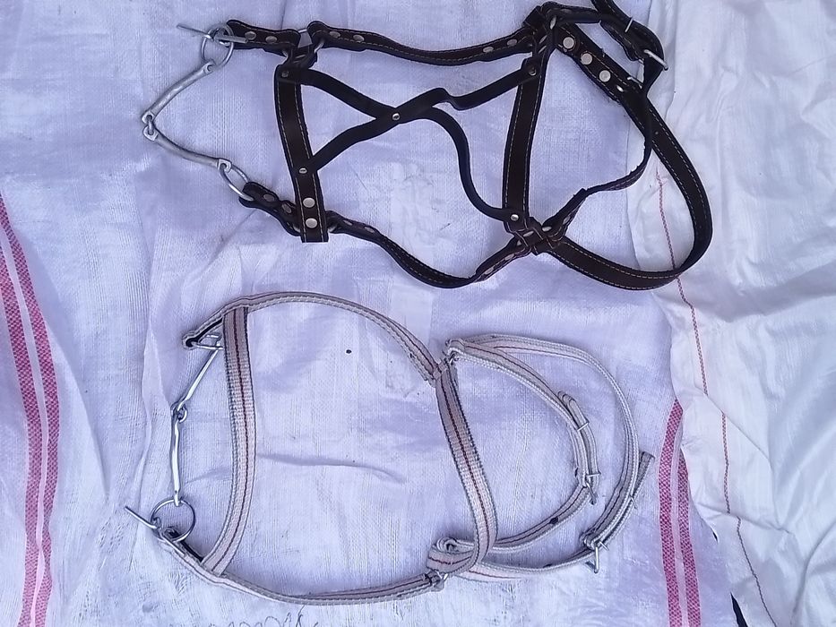 Вуздечка капейстра для коня