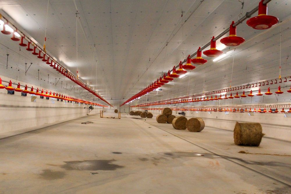 Styrodur XPS AGRO Płyty Izolacyjne Dachowe Obornickie Nie Warstwowe
