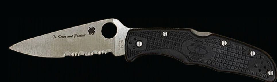 Spyderco Endura Blue Line