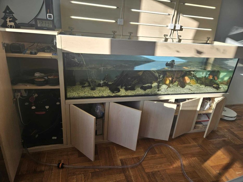 Akwarium 500L (200x50x50) + szafka - robiona na zamówienie + życie