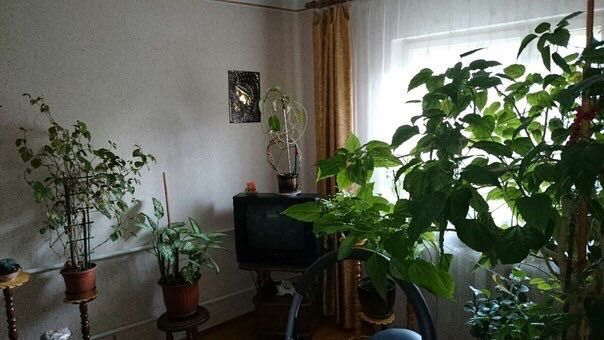 Продається будинок в місті Хуст