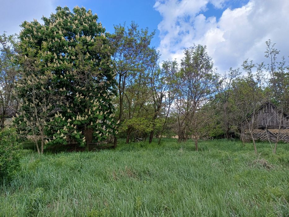 Продам земельну ділянку