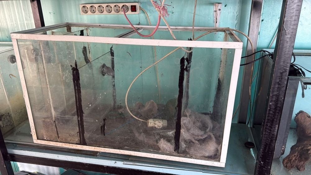 Aquários  para peixes ornamentais