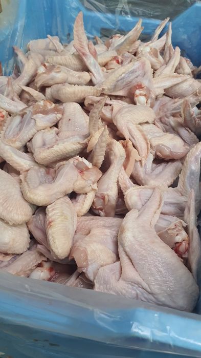 Крыло куринное. 60 грн/кг