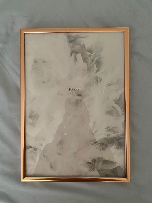 Illustrations Design64862002656130123