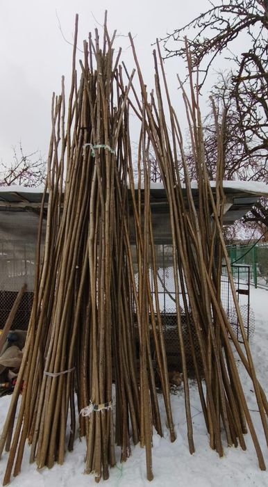 Продам тички для квасолі,томатів...