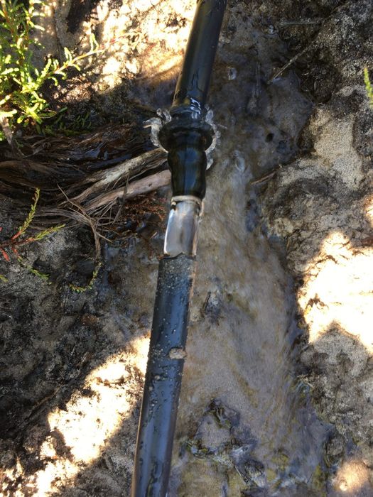 Terreno agricola 6Ha