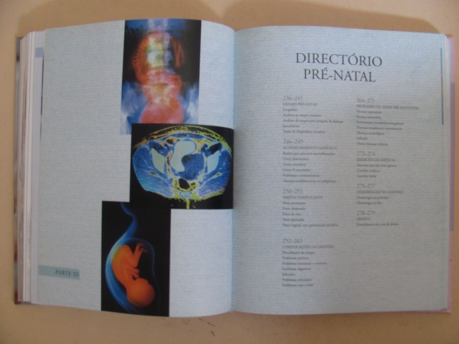 A Bíblia da Gravidez de Anne Deans