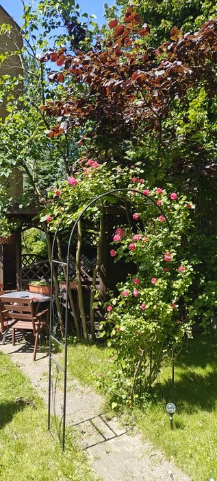 BLISKO MORZA !!! Pokoje Gościnne Marzena Hermann