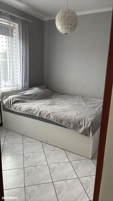 Zdjęcie 8