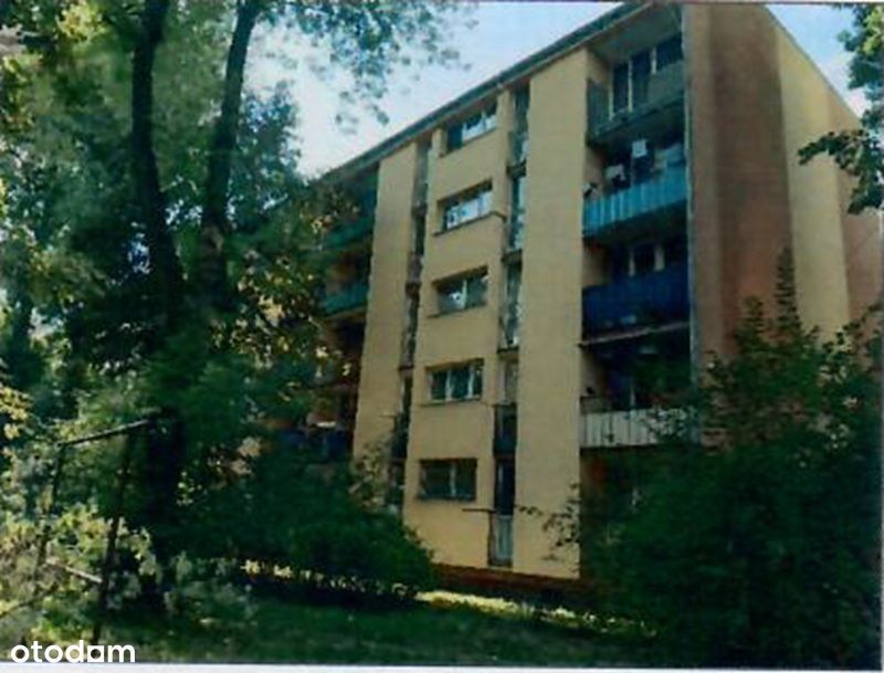 Zdjęcie 6