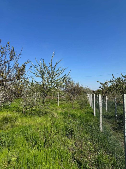 Продаж дачного будинку з ділянкою 7 соток, 16 кв. м