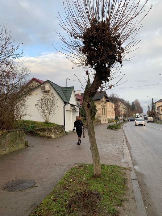 Оренда магазину в центрі м. Перемишляни