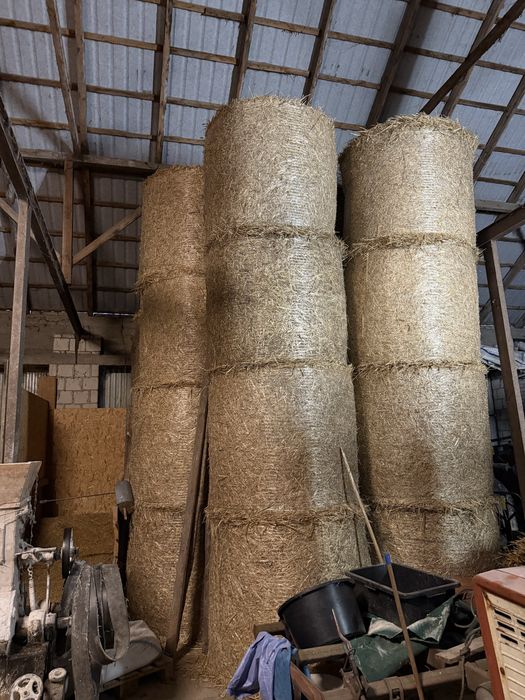 Słoma sucha 125/120