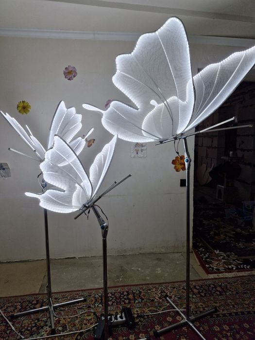 Оренда  прокат метелика