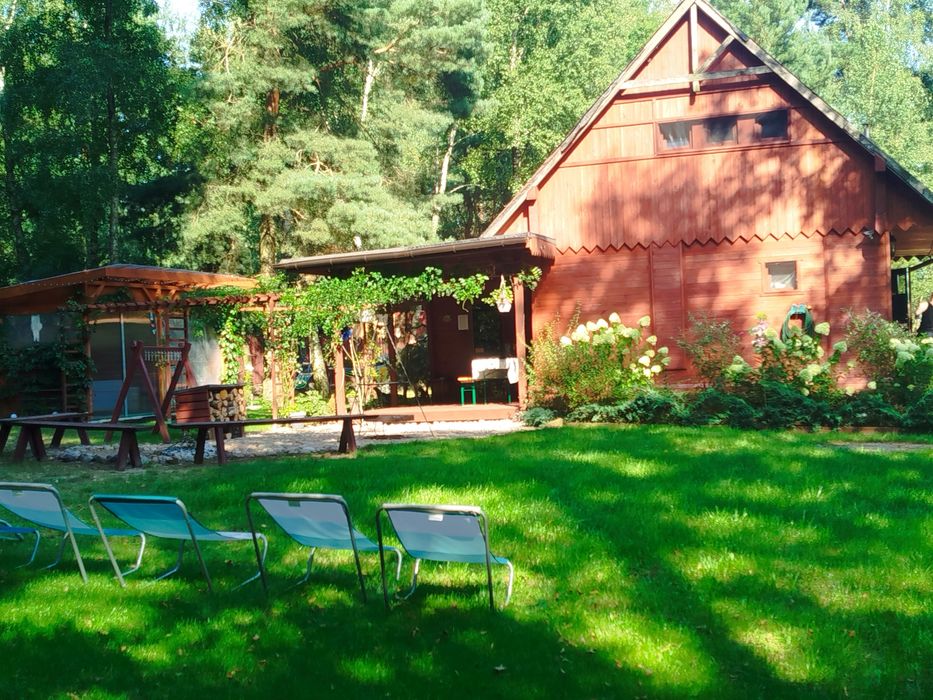 Domek balia/jacuzzi, sauna 100km od Warszawy