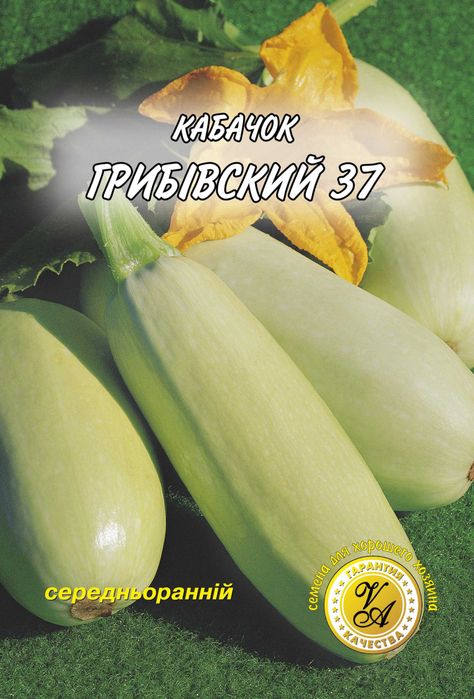 Насіння пакетоване від виробника. ОПТ.