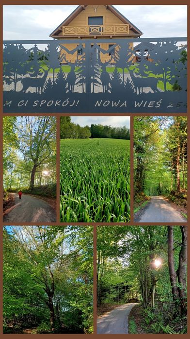 Dom Ci Spokój, domek całoroczny, gorąca beczka,plac zabaw,grill,altana