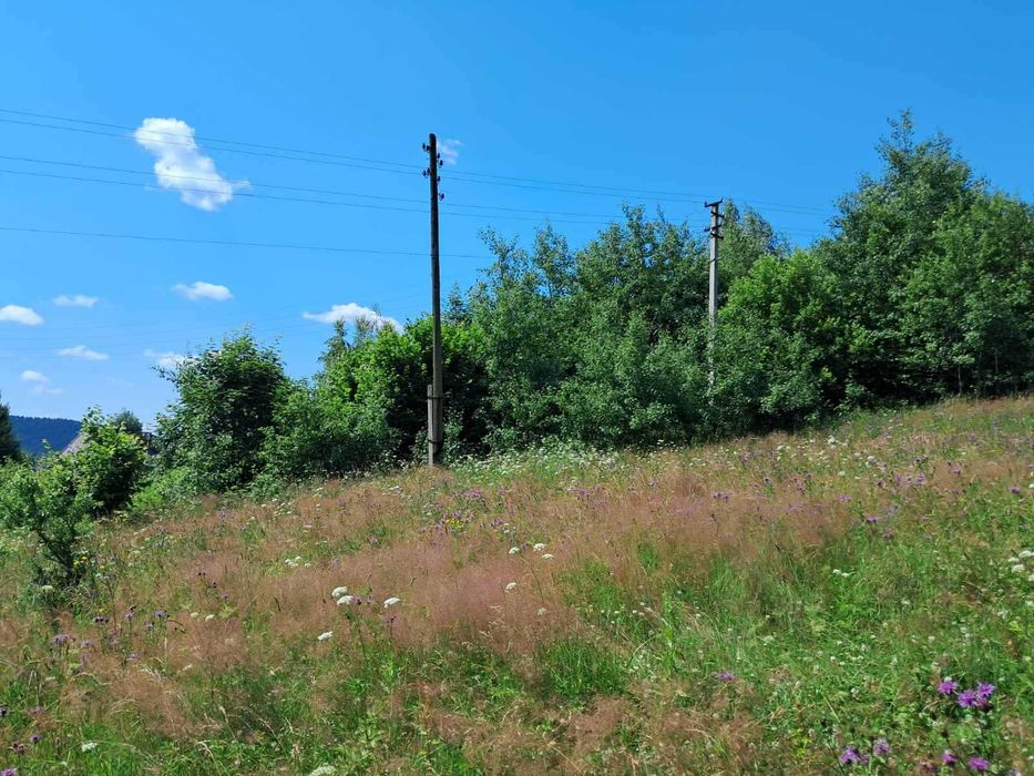 Продам земельну ділянку в Східниці