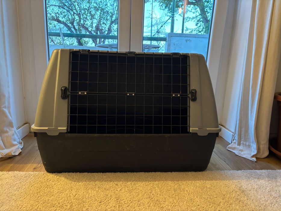 Caixa Transportadora de Cães