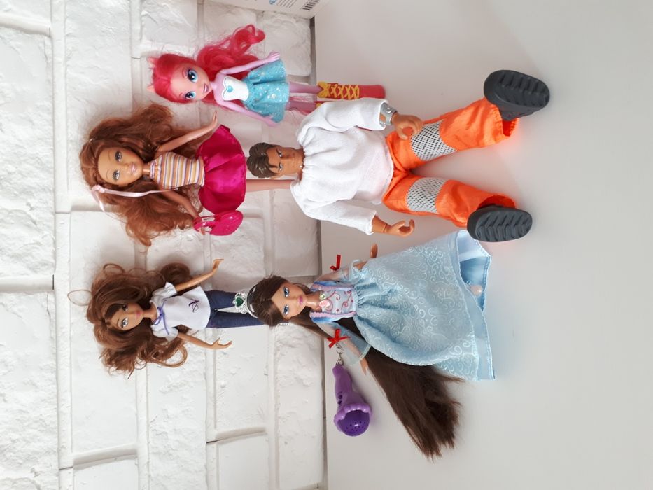 Lalki Violetta, Equestria girls i inne