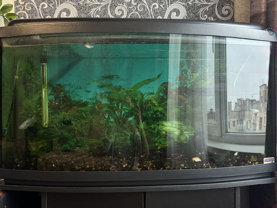 АКВАРИУМ 200л Самовывоз Кривой Рог,Даманский