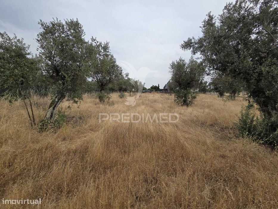 Lote de Terreno