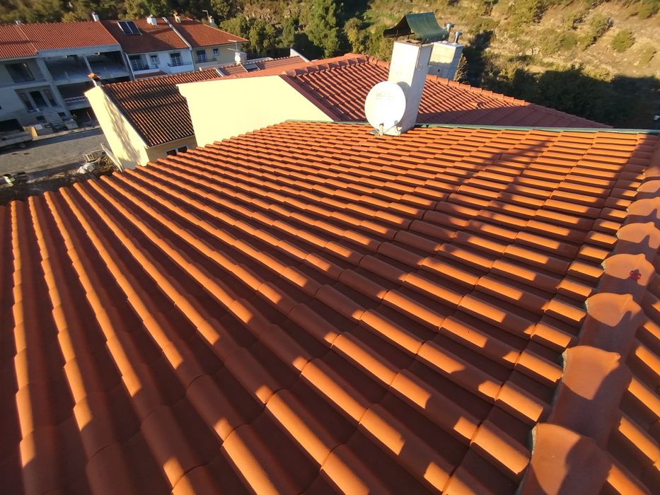 Limpeza e tratamento de telhados