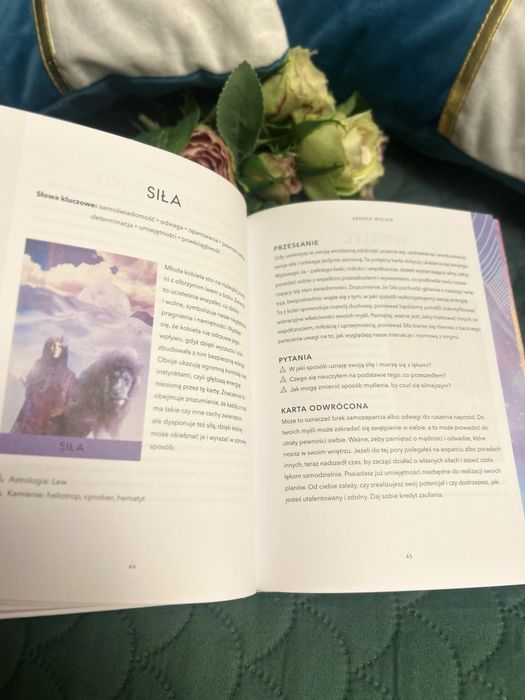 Księga Tarota Współczesny Przewodnik Po Czytaniu Kart Danielle Noel