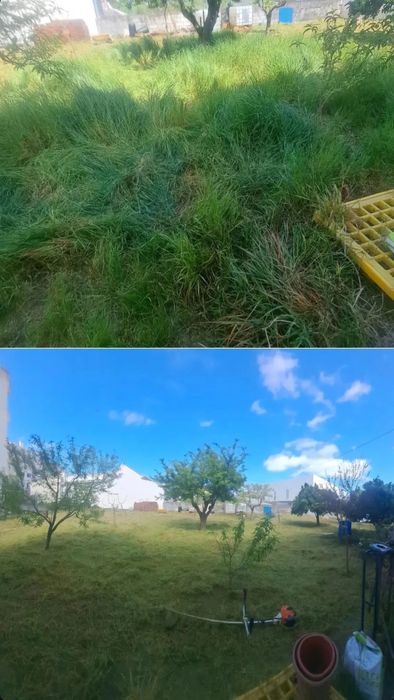 Serviço de limpeza mato e corte de árvores