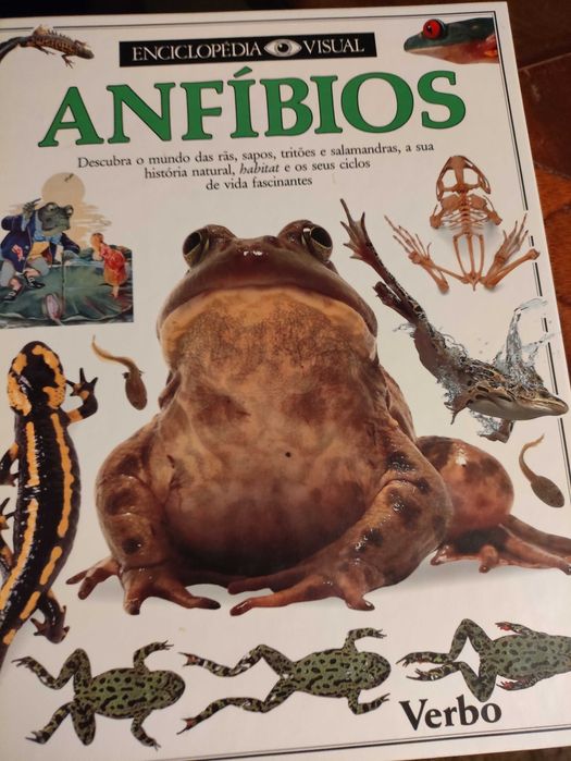 Enciclopédia dos anfíbios