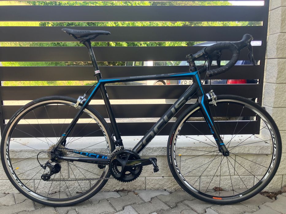 Focus culebro rower szosowy L -56