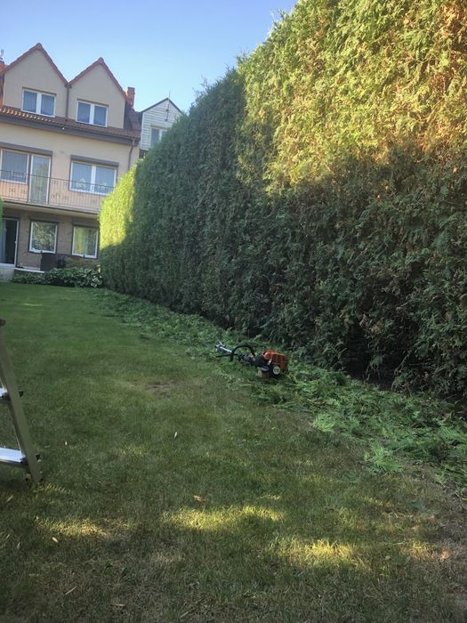 Usługi ogrodnicze Zakładanie ogrodów