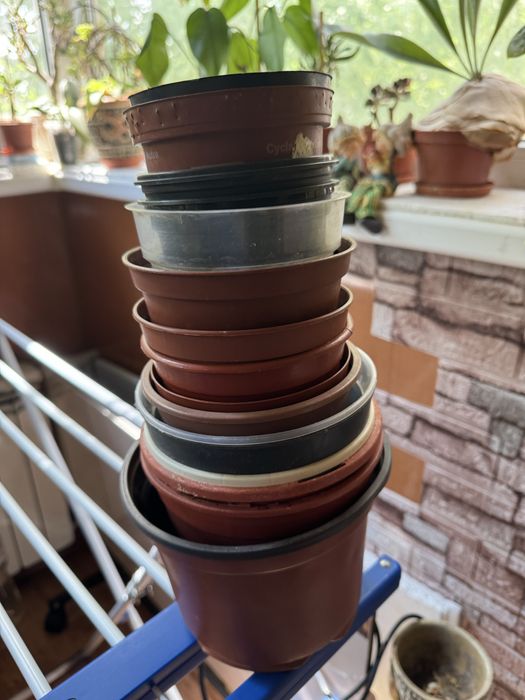 горшки для цветов/ рассады б/у