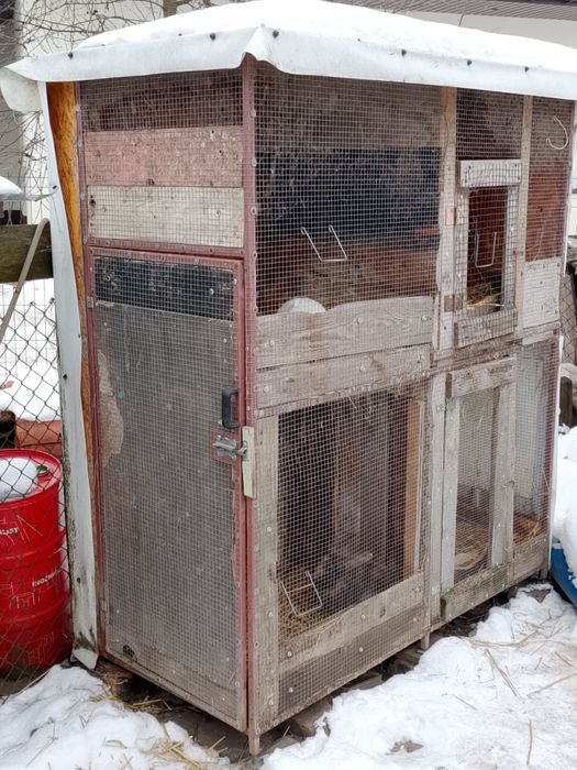 Witam sprzedam kladke na króliki