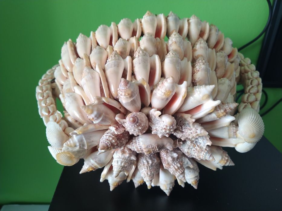 Cesto de búzios e conchas artesanal casa quarto apartamento vivenda.
