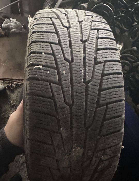 205.55.16 Резина зимняя