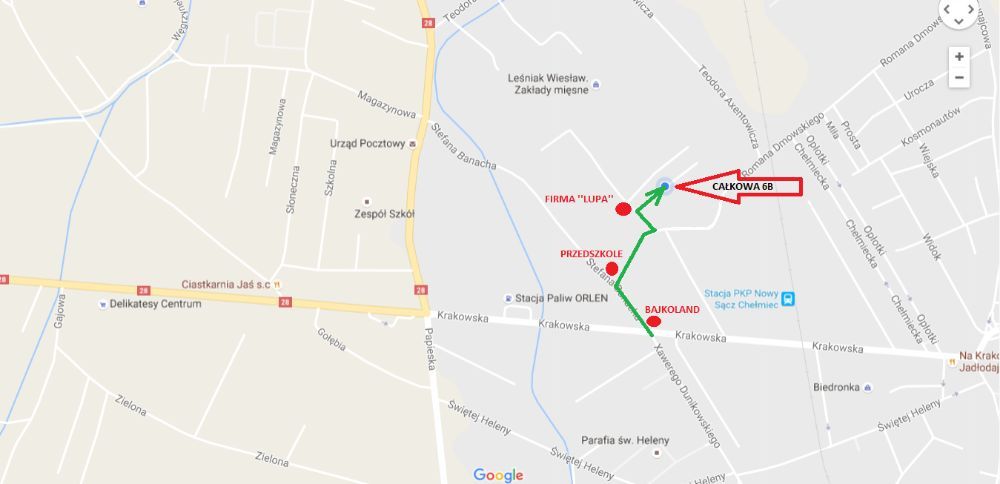 Wierzba Hakuro nishiki na PNIU 150cm -