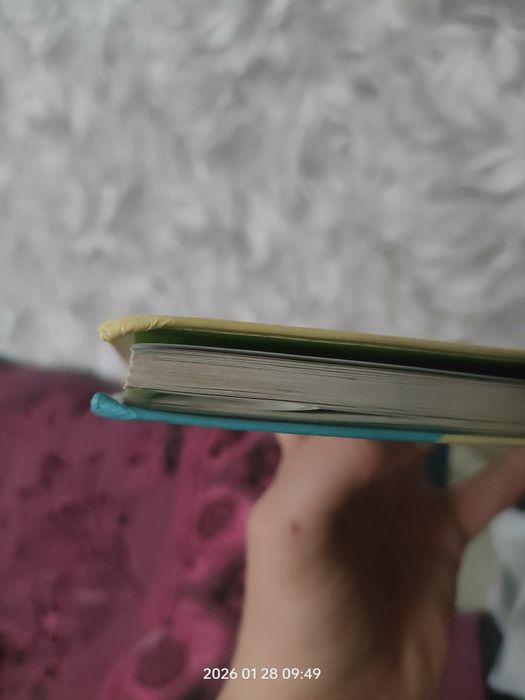 Українська мова та читання 4 клас Савченко друга частина