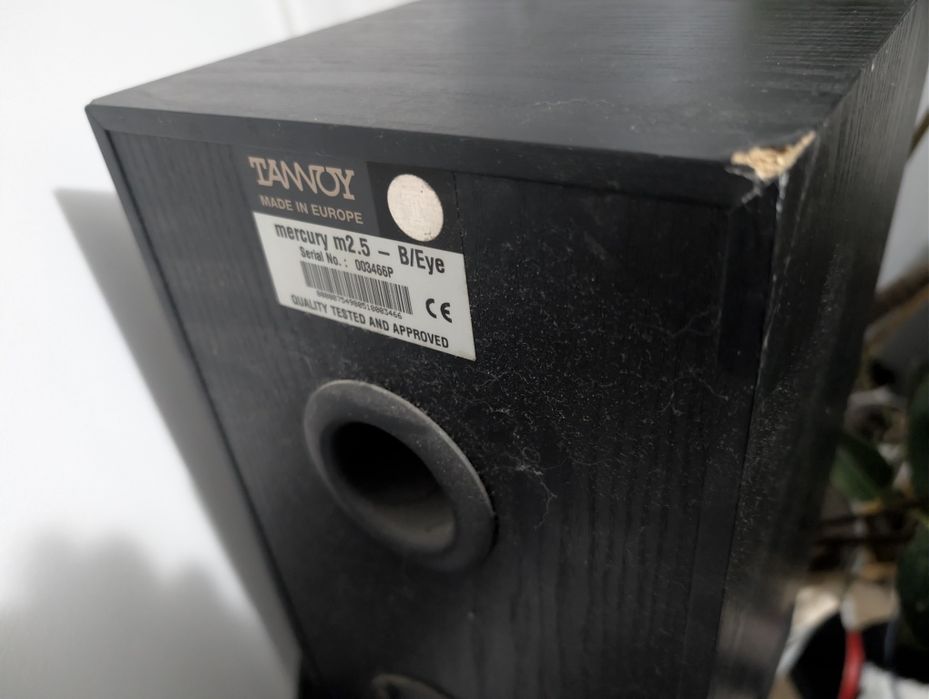 Tannoy m2.5 kolumny podstawkowe