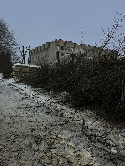 Зрізання аварійних дерев