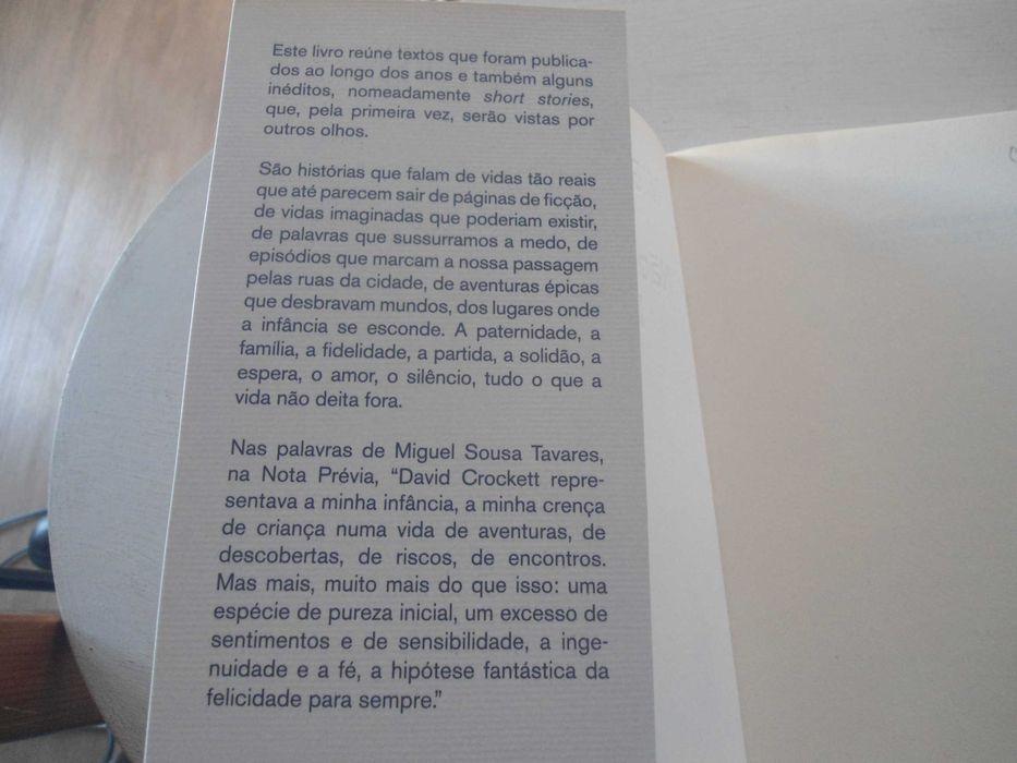 Não te deixarei morrer, David Crockett de Miguel Sousa Tavares