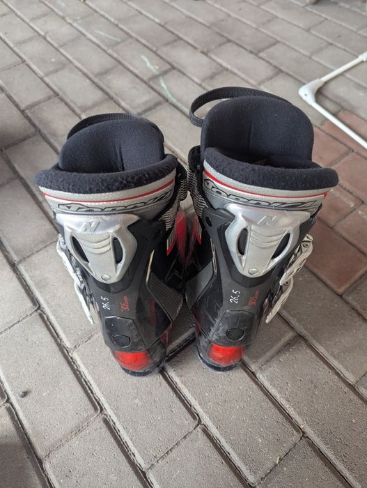 Buty narciarskie Nordica