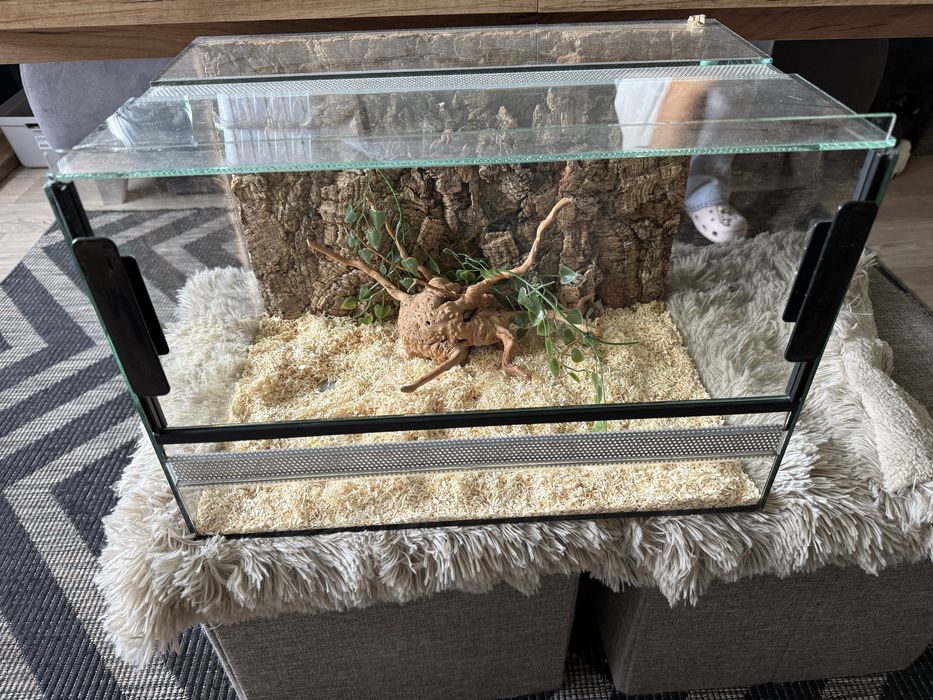 Terrarium 45x30x30
