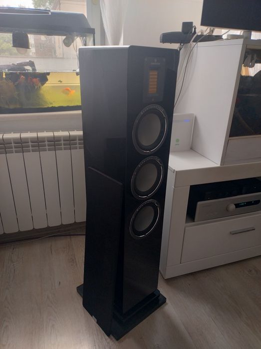 Audiovector QR 5