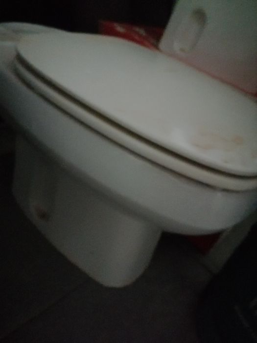 Sanita com autoclismo mochila