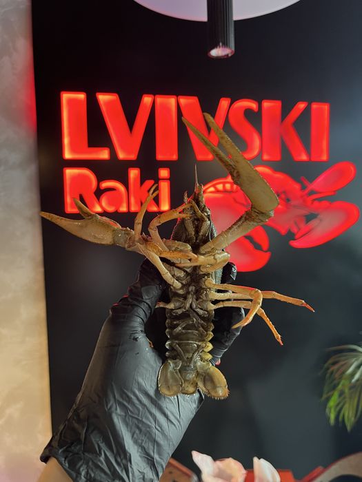 Раки, Трускавець, Східниця!