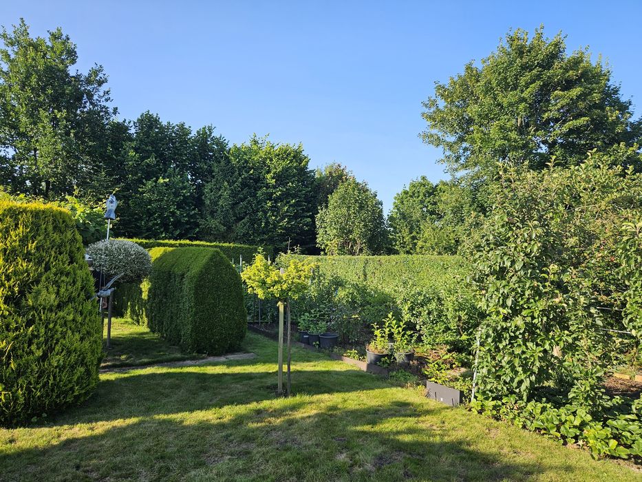 PIĘKNA DZIAŁKA ROD - Słupsk ul. Gdańska