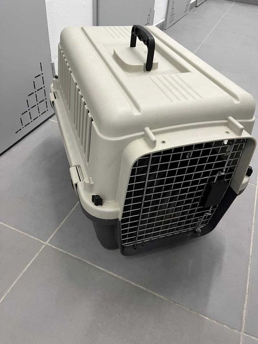 Caixa de transporte para cão
